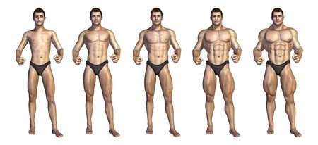 free beginner bodybuilding program